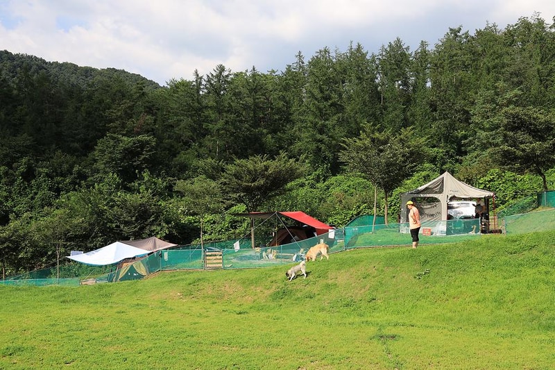 개똥이네캠핑장 시설 사진 1