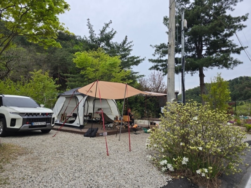 EP99 포천 산정호수 돌고래캠핑장 후기 및 사이트소개