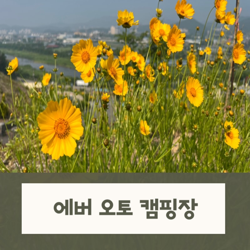 [용인] 서울근교 퇴근박 가능한 '에버 오토 캠핑장'