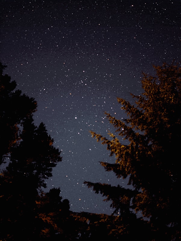 우리들캠핑장 시설 사진 1