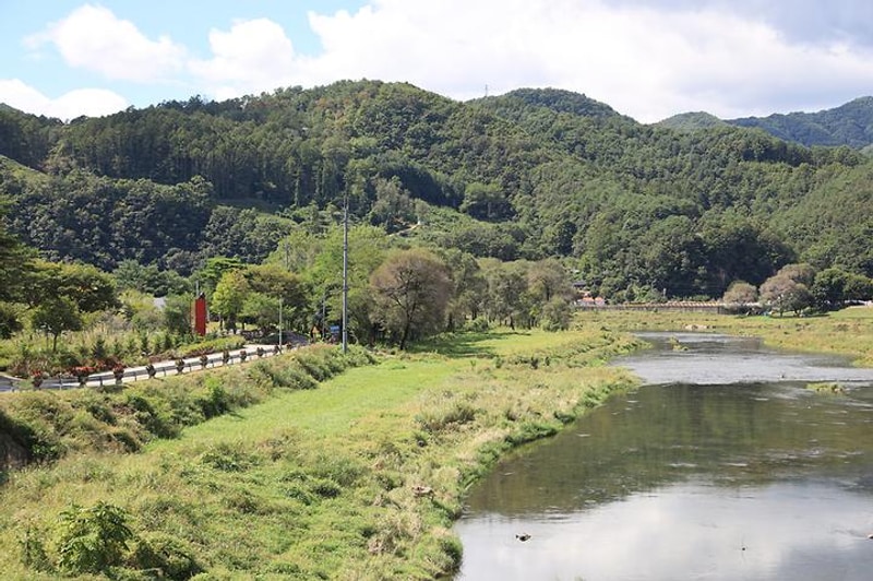 다 그린 대표 사진