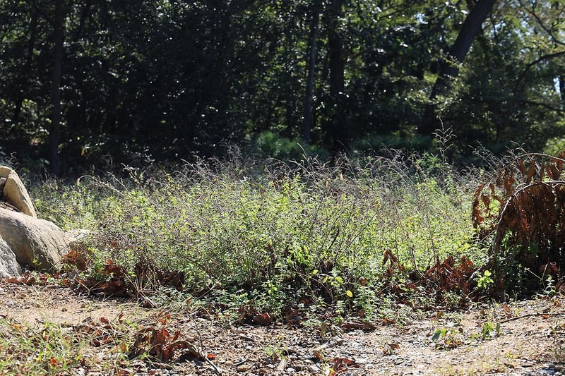 검디 관광농원 야영장 시설 사진 15