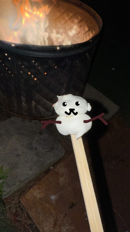 진안 마이산 풍혈냉천 캠핑장 / 휴가 2편