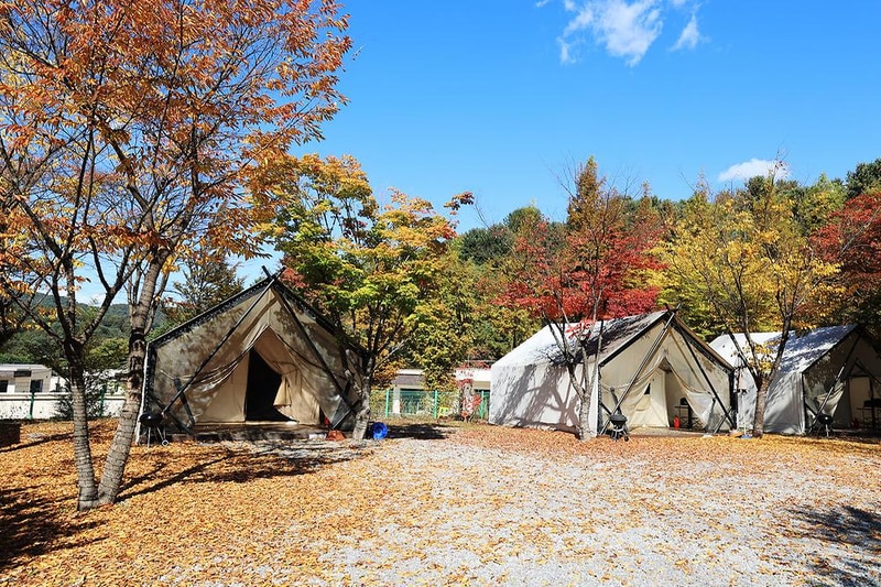 더 플래츠 글램핑 시설 사진 9