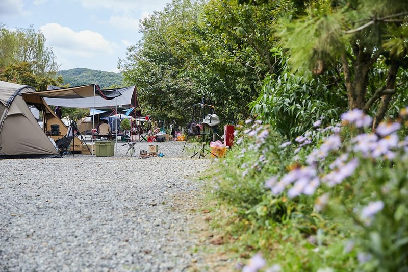 용설호수캠핑장 시설 사진 2