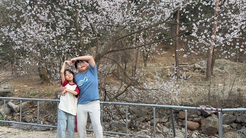 포천 딥포레스트캠핑장 ⎮ 벚꽃캠핑장, 근데 이제 개화를 아직...