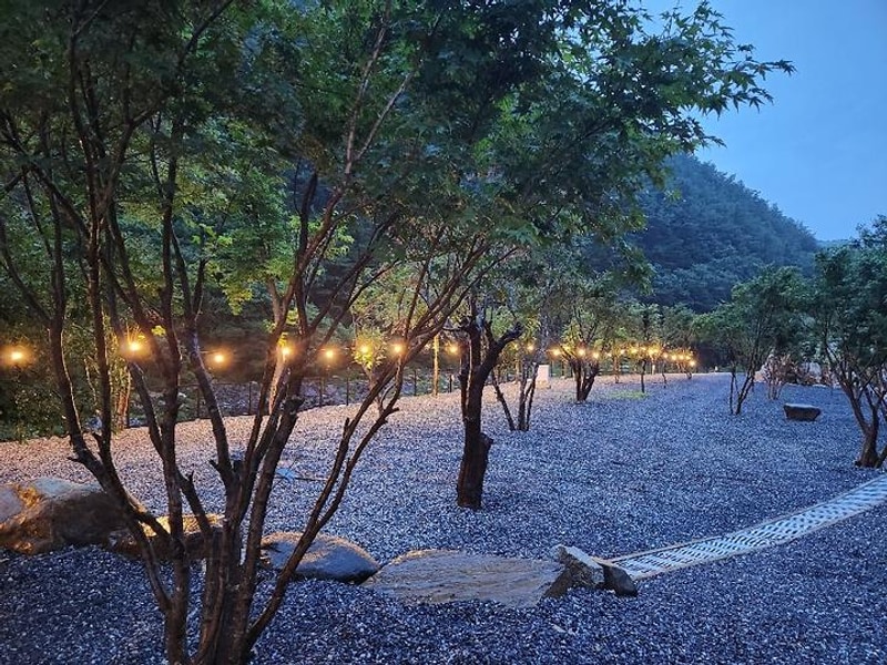 월악아지트캠핑장 대표 사진