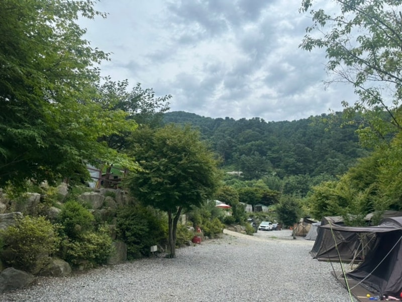 [가평] 가평 계곡 캠핑 | 개별화장실 | 캠프스테이