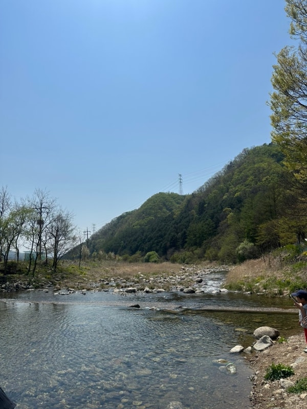 가평 계곡 키즈캠핑장 캠프99 잔디존G05 사이트후기