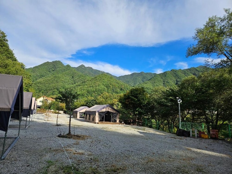 월성자연캠핑야영장 시설 사진 9