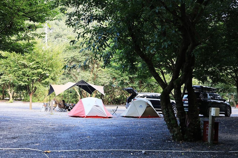 담터 금학캠핑장 시설 사진 10