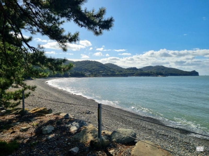 힐링하러 전남 고흥 나로힐링캠핑장