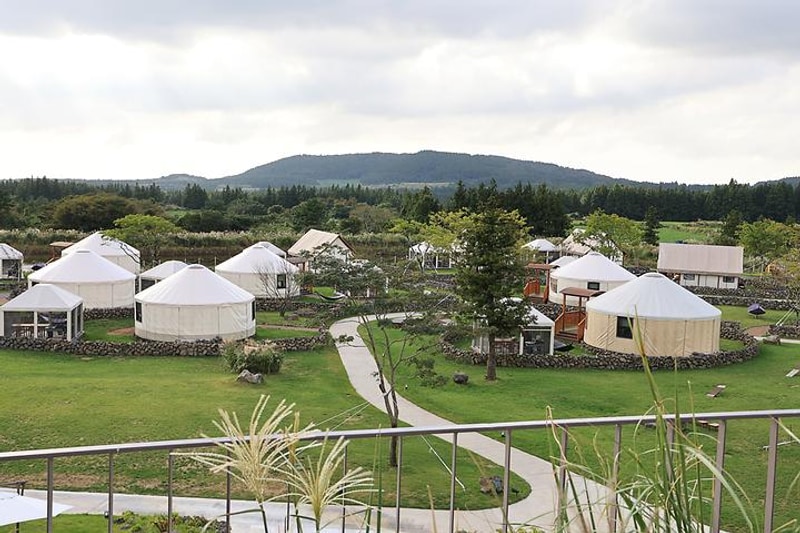 스타빌 대표 사진