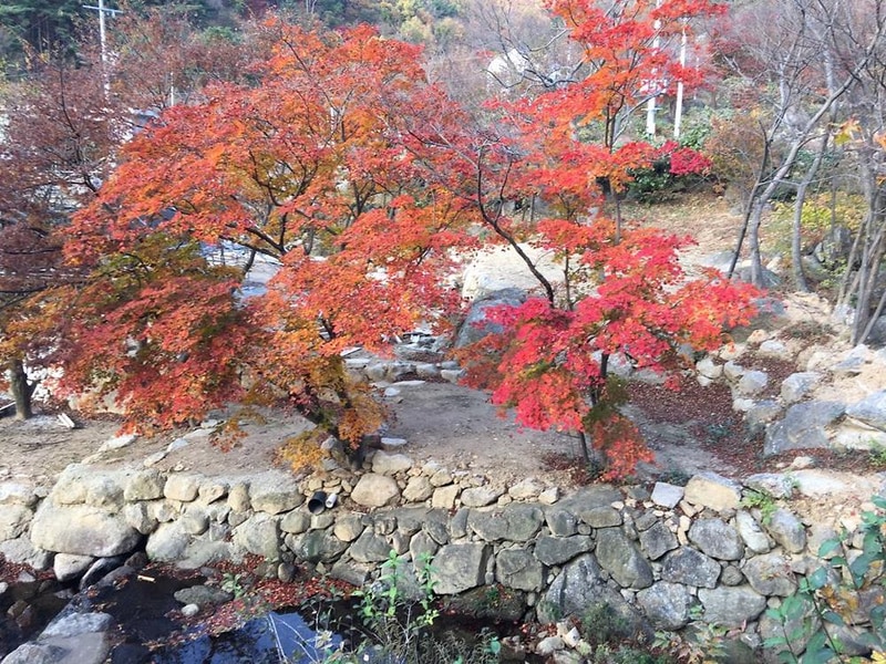 진틀펜션캠핑장 시설 사진 28