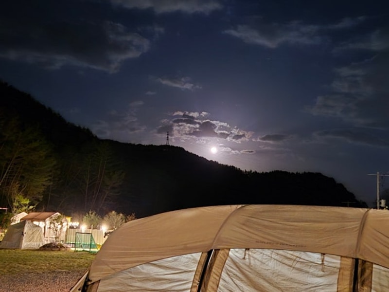 부산 근교 신상 키즈 캠핑장 대암팜트리