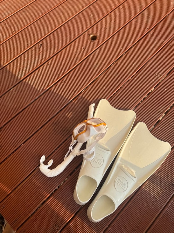 #삼척 장호항 스노클링 (feat. 장호비치캠핑장 카라반)