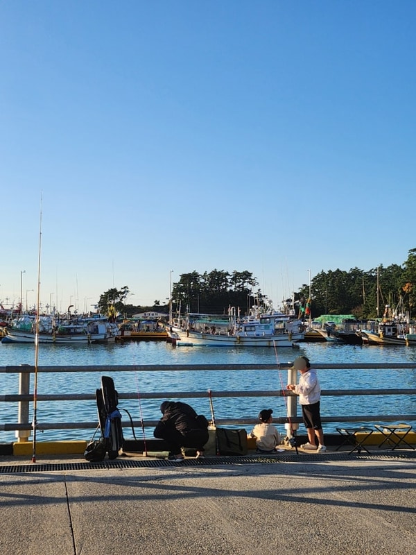 태안 바다낚시 캠핑장 『송도오토캠핑장』 -데크 14,15