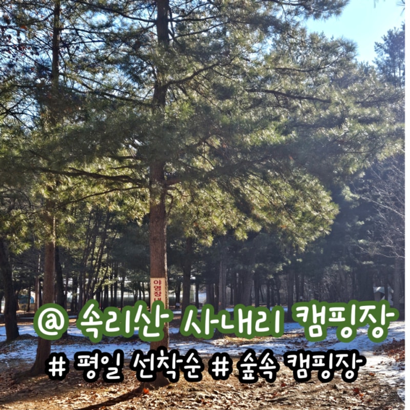 충북 보은 속리산 사내리  숲속 캠핑장 애견 동반 가능...