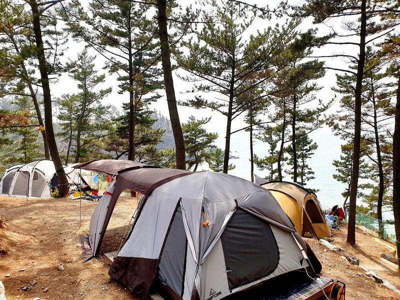 에스이(SE)클럽관광농원야영장 시설 사진 15