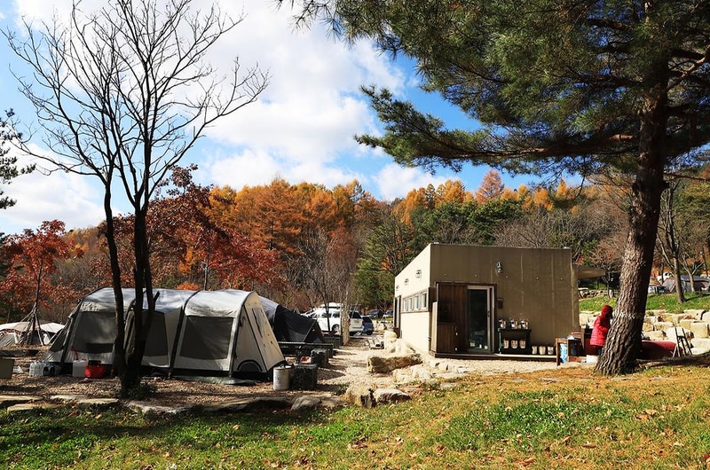 삼남매와 뭉치네 캠핑장 시설 사진 17