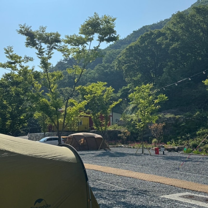 [고성캠핑] 회화면 모든날 오토캠핑장 : A-1 / A-2 사이트 추천...