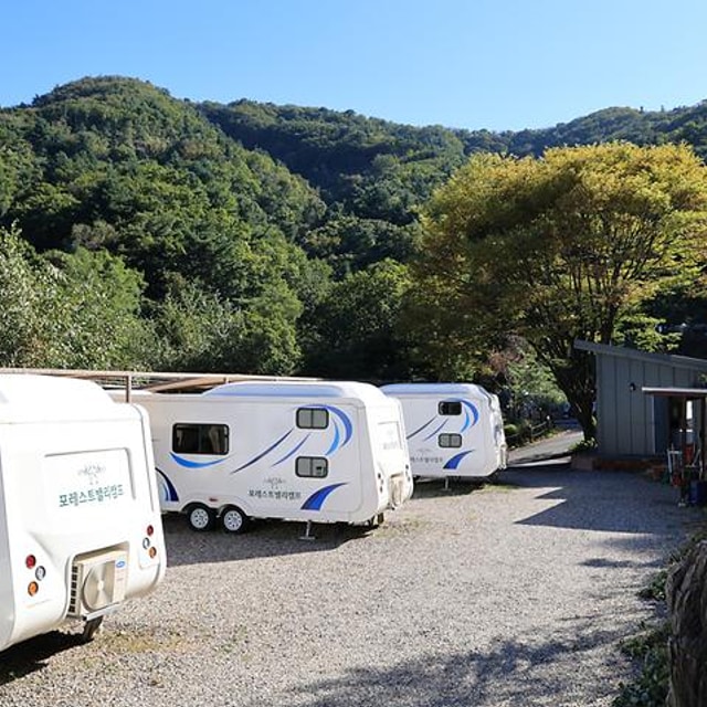 포레스트벨리캠프