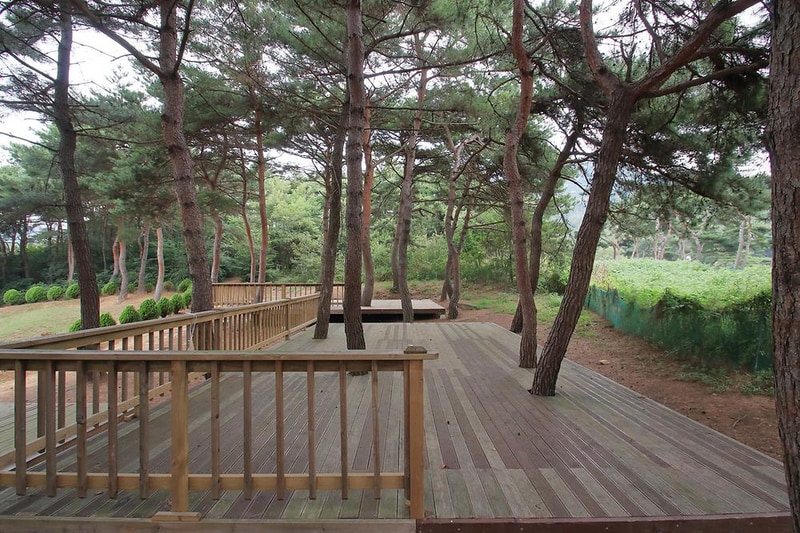 용봉산캠핑장 시설 사진 2