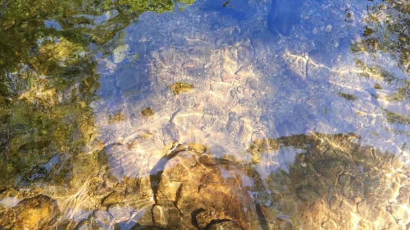 250725 : 거창 산중계곡캠핑장