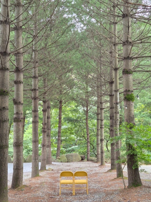 [충북 제천 캠핑] 덕동리301캠핑장