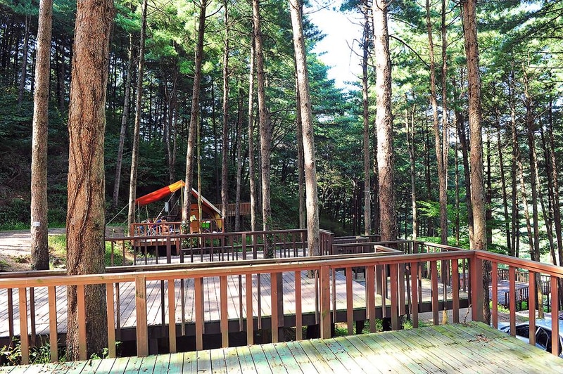 유식물원 관광농원 시설 사진 8