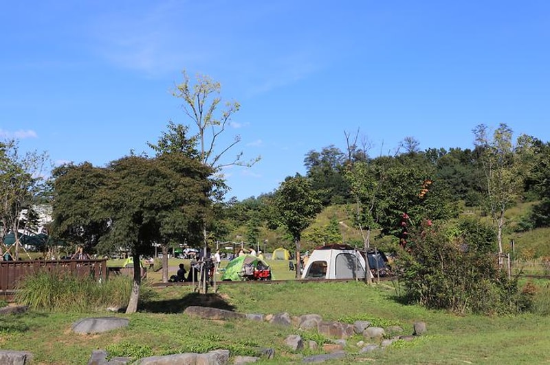 중랑가족캠핑장 대표 사진