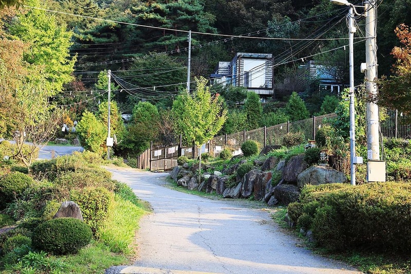 펫밀리애견파크타운 시설 사진 14