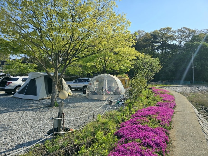 73th 강화도 크로바캠핑장