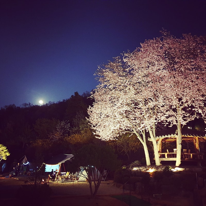 물왕숲캠핑파크 시설 사진 31