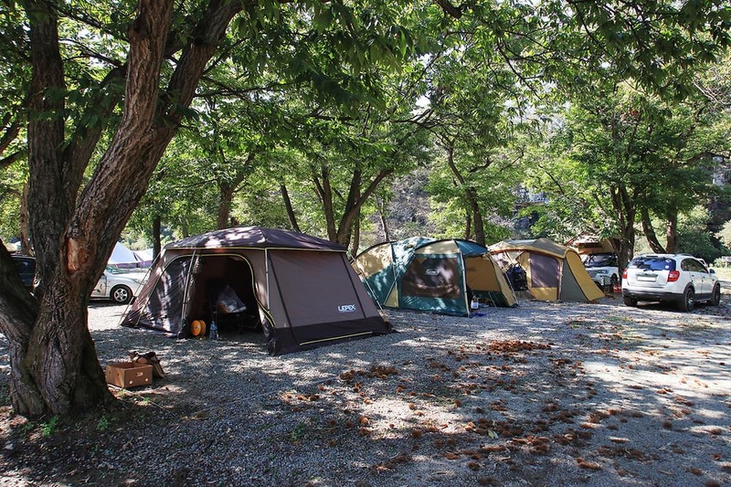 초평밤나무 시설 사진 11