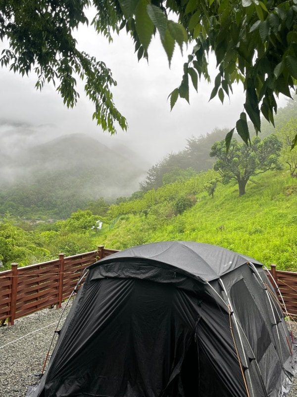 기를 쓰고 우중캠만 댕긴다카대... 밀양 그린앤블루 캠핑장