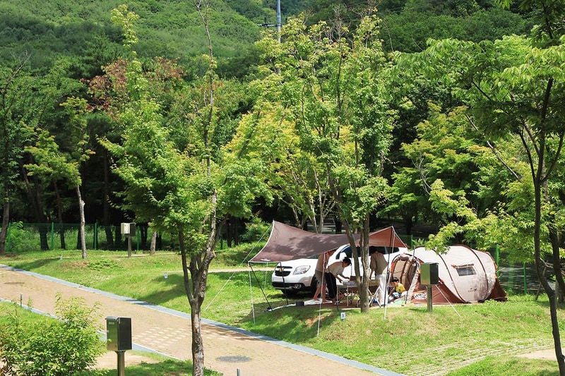 팔공산국립공원 도학 야영장 시설 사진 3