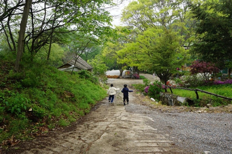 주말 일기_우중 차박 강화 캠핑장 자연과 숲 피스마이너스원과...