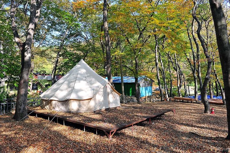숲속가든 캠핑장 대표 사진