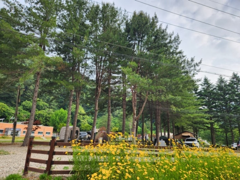 (인제)수산하늘풍경캠핑장