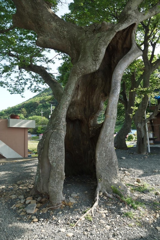 천하마을야영장 시설 사진 13