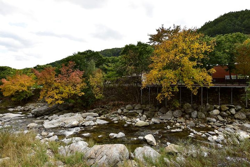 하늘땅별땅 캠핑장 대표 사진