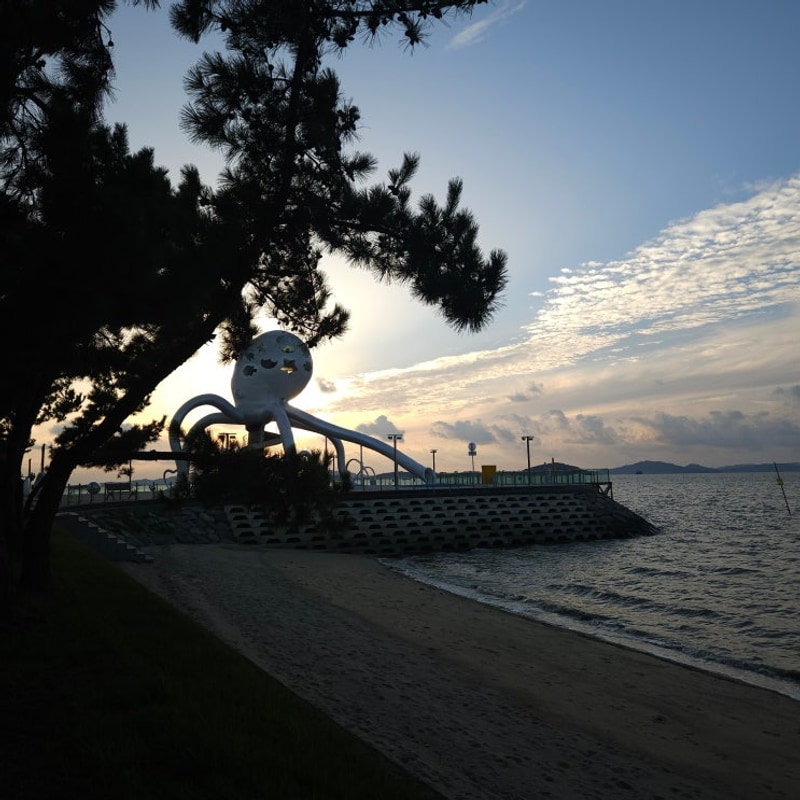 [250929] 무안 낙지공원 노을길 야영장