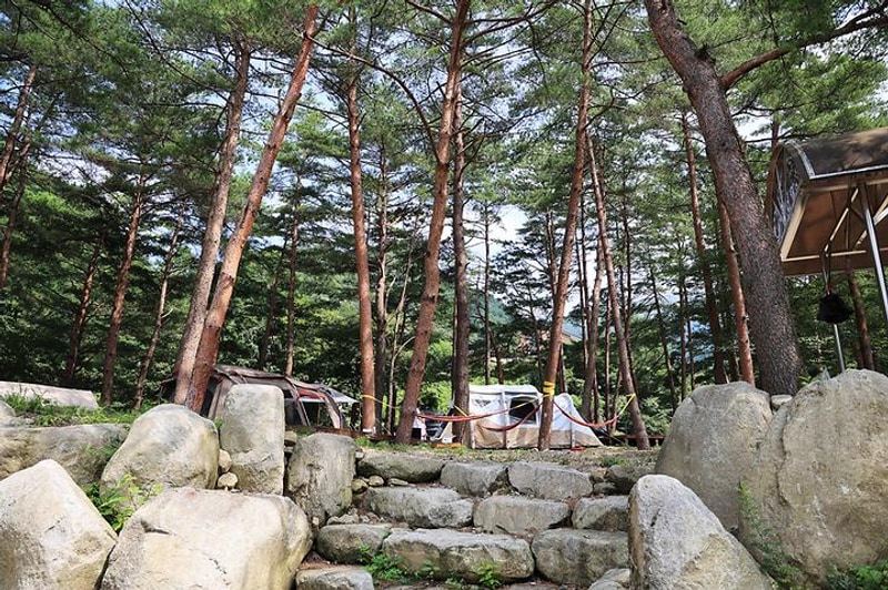 갈천힐링캠프 대표 사진