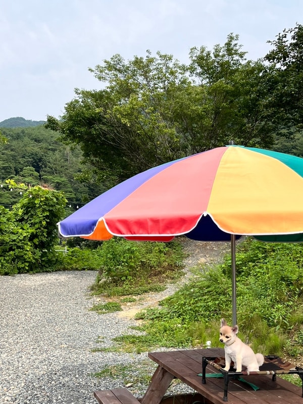 청도 캠프1530(A5)_23.03.25.~26.