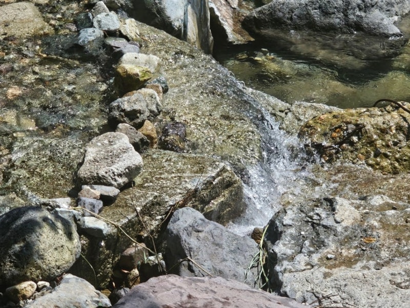 [포천] 담터금학캠핑장 (반려견동반가능)