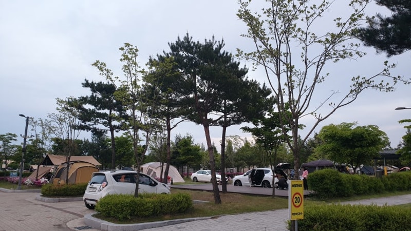 25년 3차 봄차박  춘천 박사마을 어린이 글램핑장(5/2)