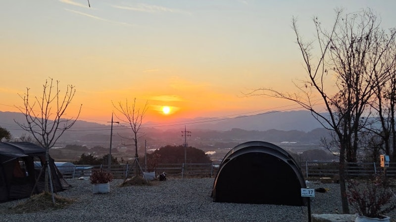 무주 붉은노을캠핑장 반려견 동반가능한 캠핑장 명당 추천