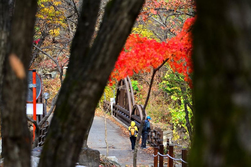 국립유명산자연휴양림(자동차) 시설 사진 7
