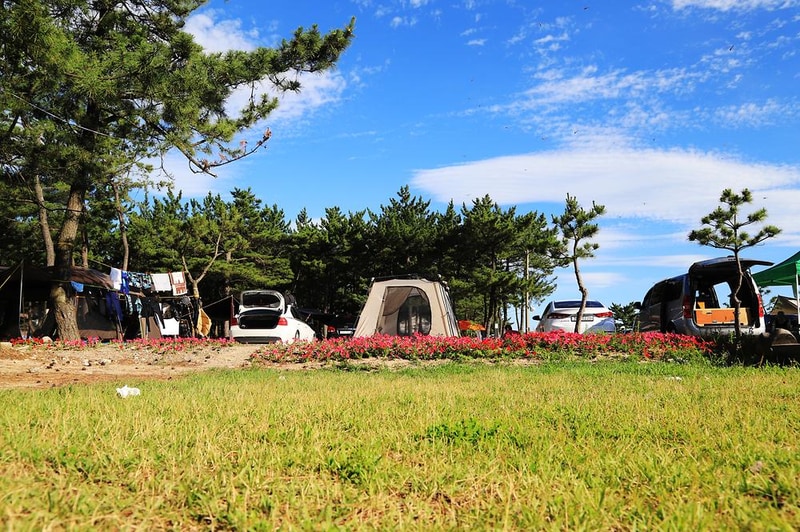 낙산해수욕장 야영장 시설 사진 5